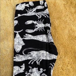 LulaRoe OS Under The Sea Leggings